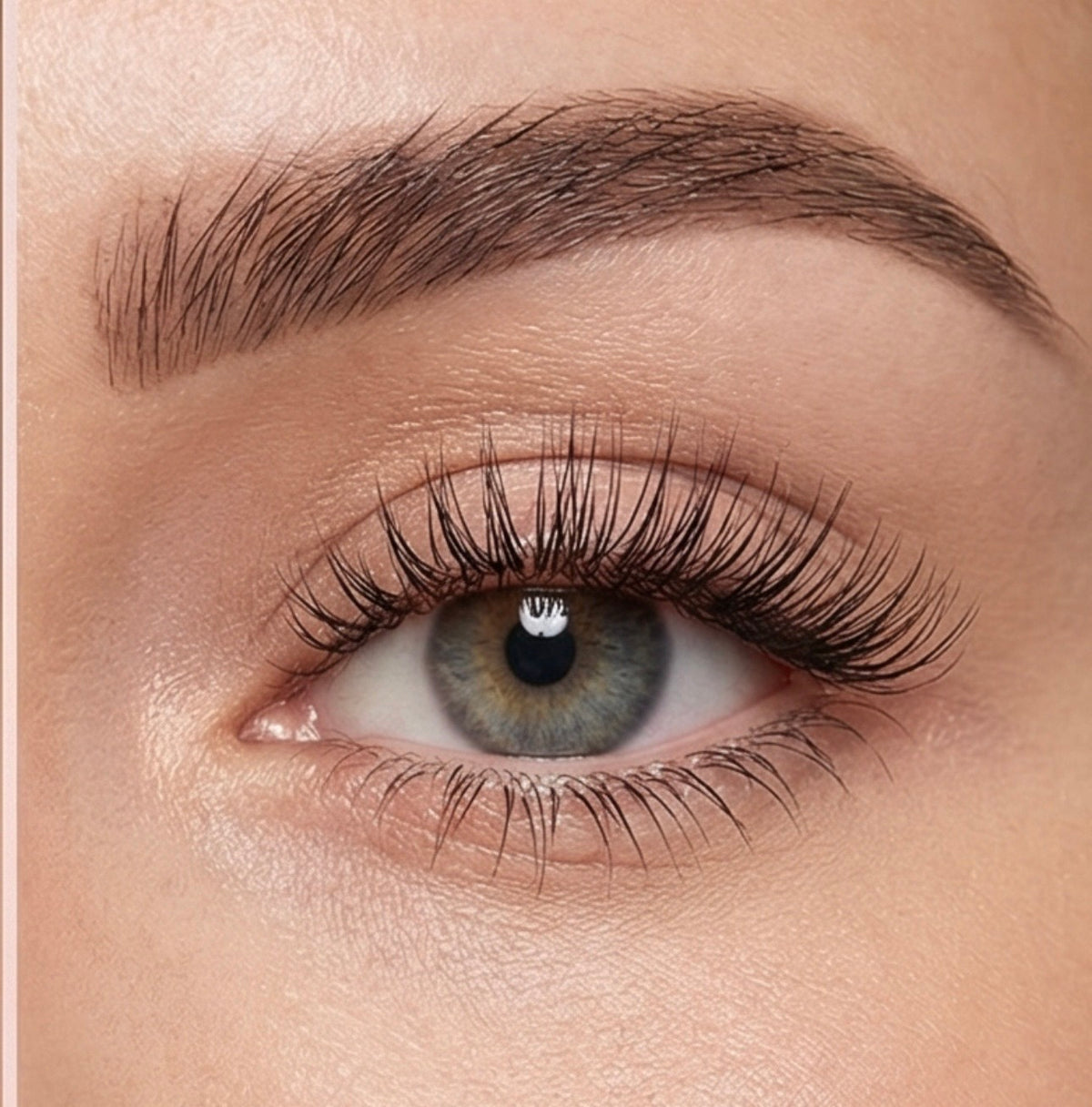 Eyes